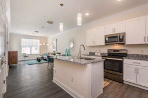 Kitchen and Living Area